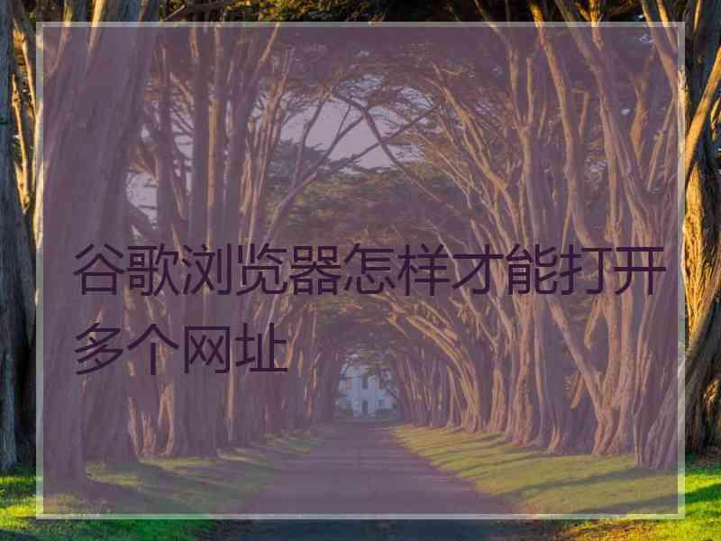 谷歌浏览器怎样才能打开多个网址