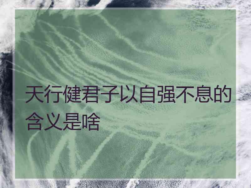 天行健君子以自强不息的含义是啥