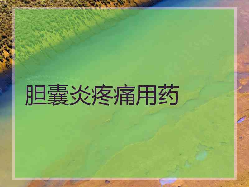 胆囊炎疼痛用药