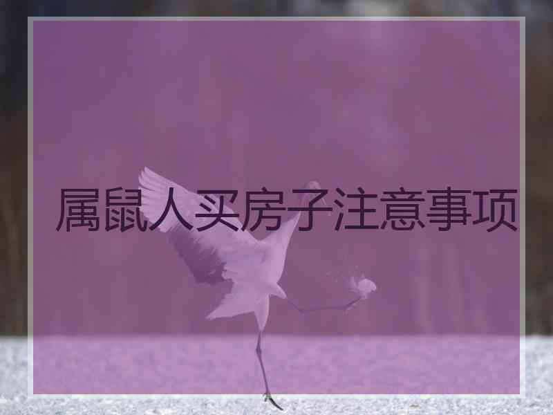 属鼠人买房子注意事项