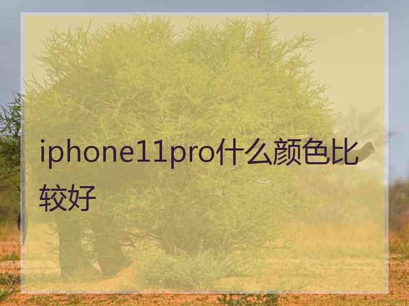 iphone11pro什么颜色比较好