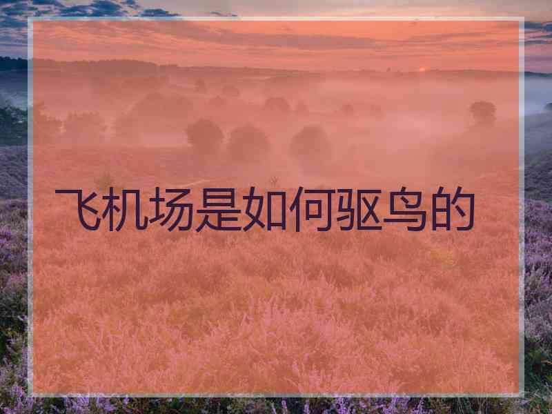 飞机场是如何驱鸟的
