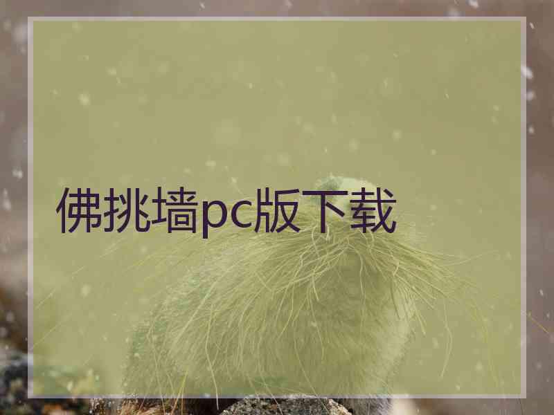 佛挑墙pc版下载