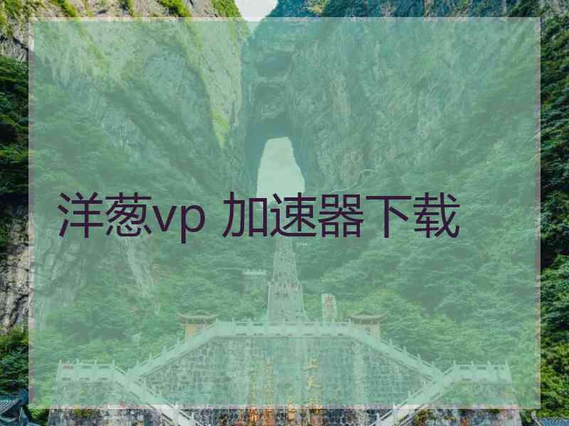 洋葱vp 加速器下载