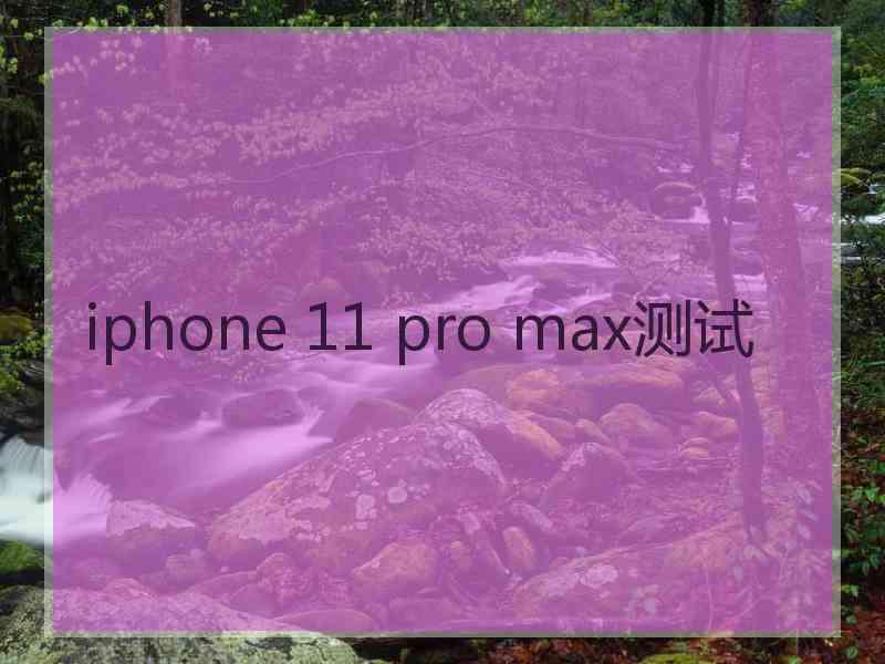iphone 11 pro max测试