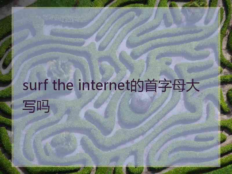surf the internet的首字母大写吗