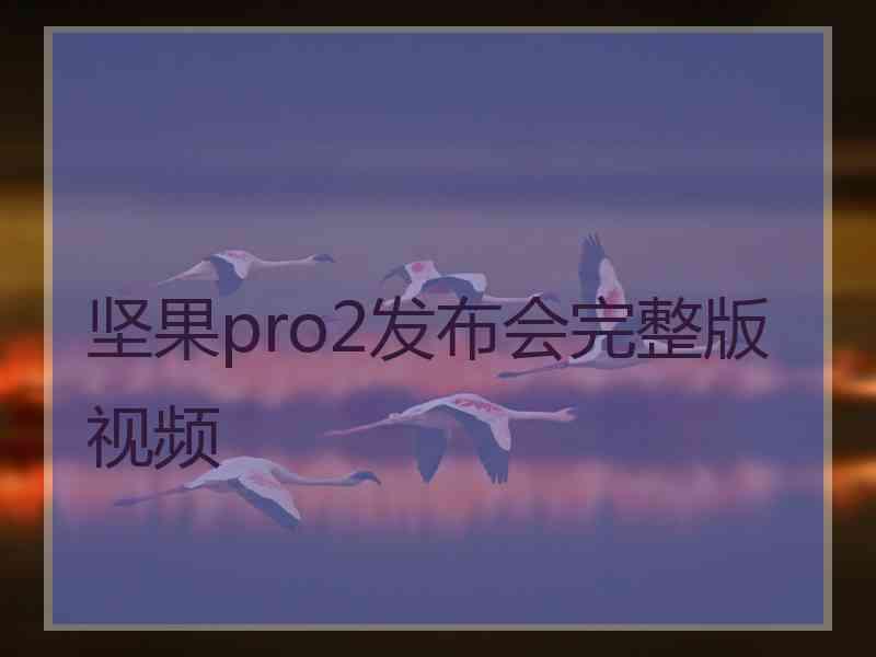 坚果pro2发布会完整版视频