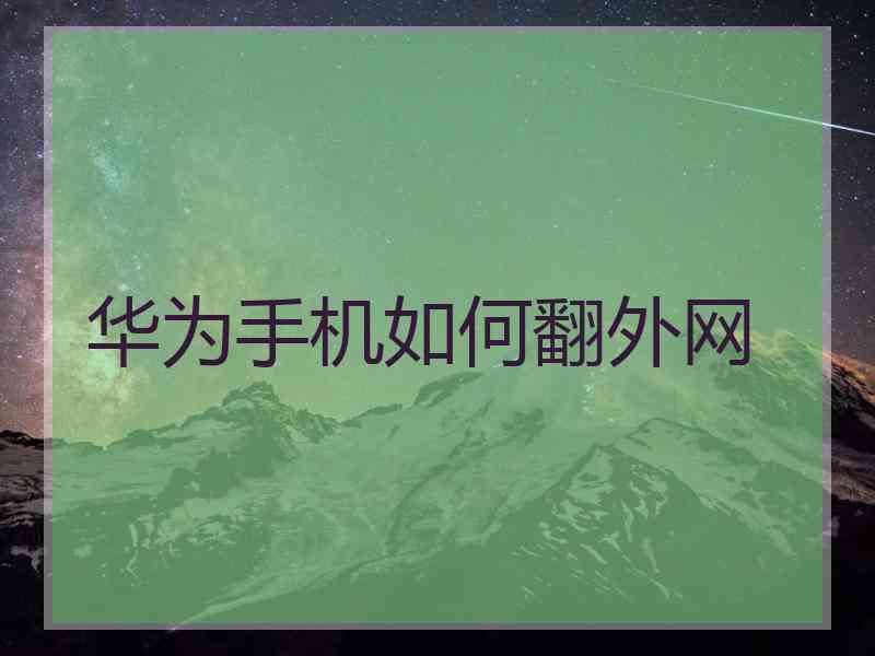 华为手机如何翻外网