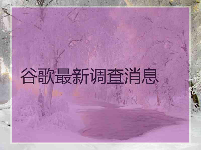 谷歌最新调查消息