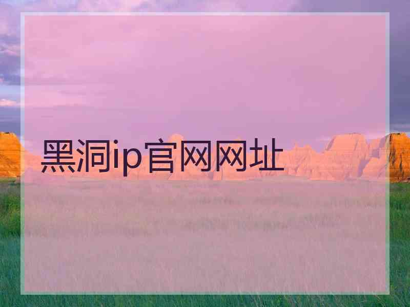 黑洞ip官网网址