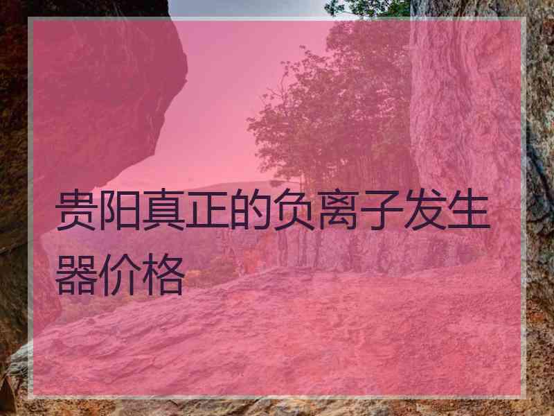 贵阳真正的负离子发生器价格