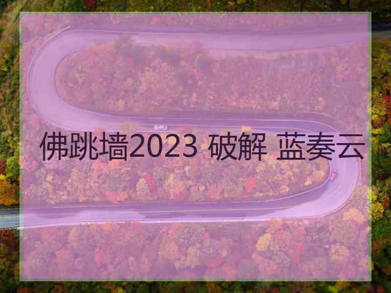 佛跳墙2023 破解 蓝奏云