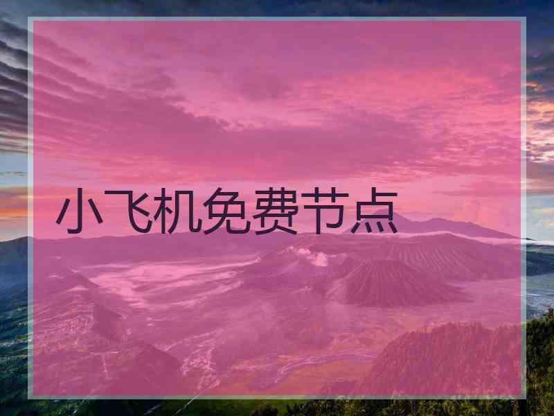小飞机免费节点