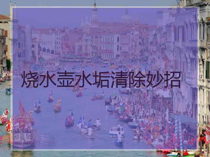 烧水壶水垢清除妙招