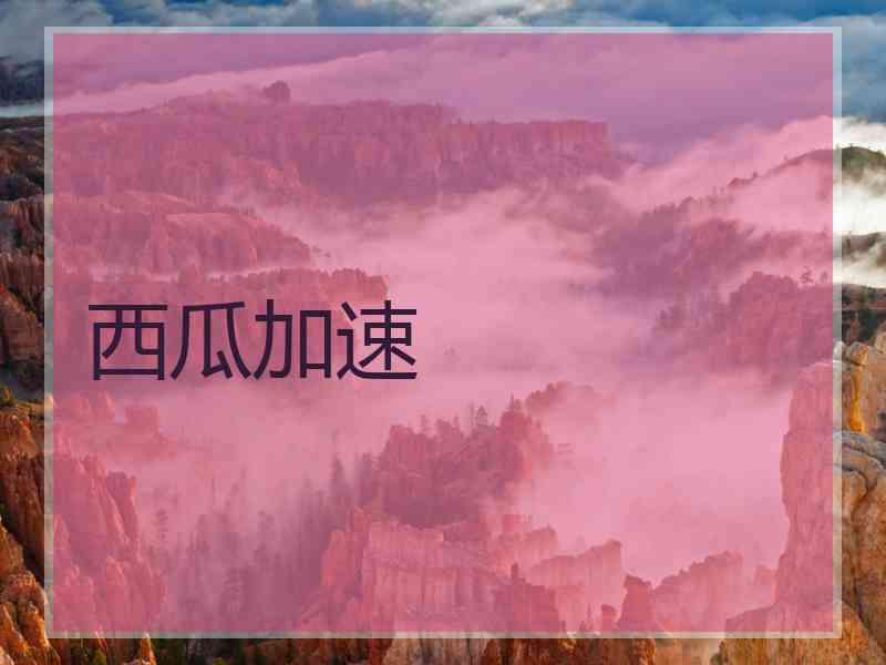 西瓜加速
