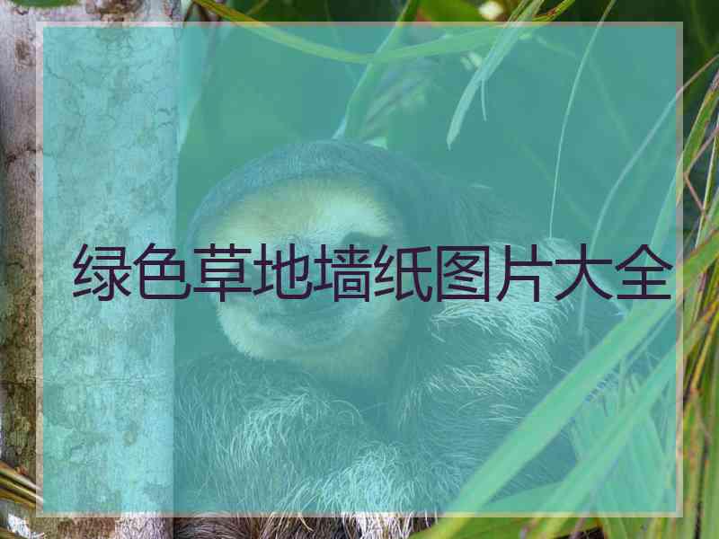 绿色草地墙纸图片大全
