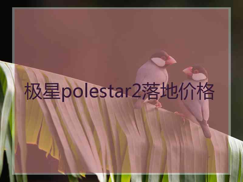 极星polestar2落地价格