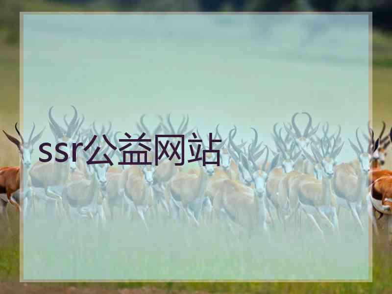 ssr公益网站