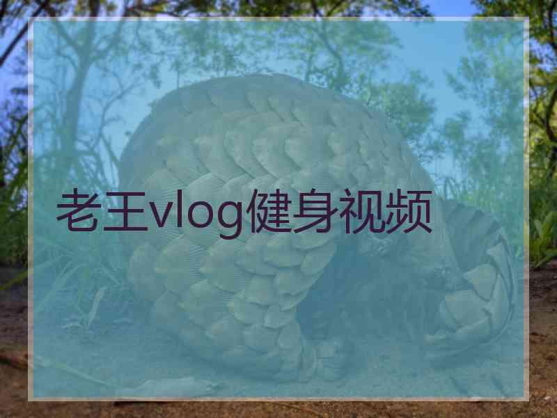 老王vlog健身视频