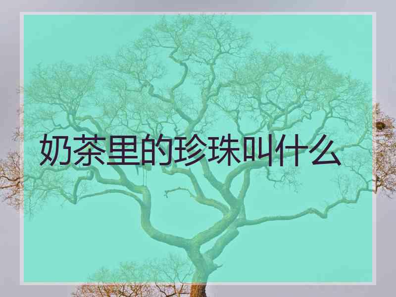 奶茶里的珍珠叫什么