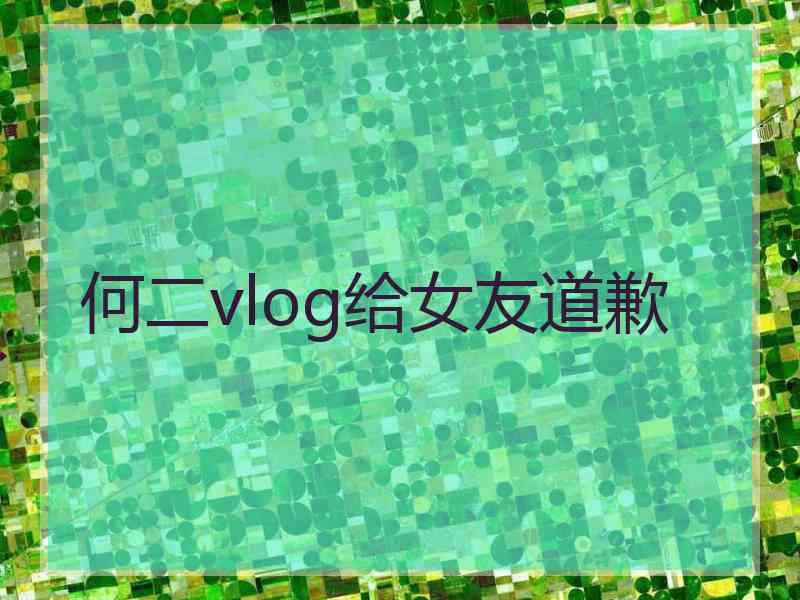 何二vlog给女友道歉