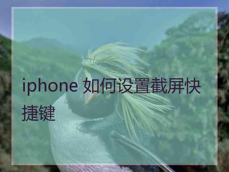 iphone 如何设置截屏快捷键