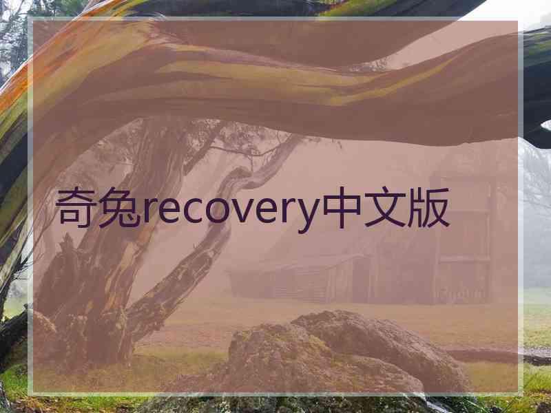 奇兔recovery中文版