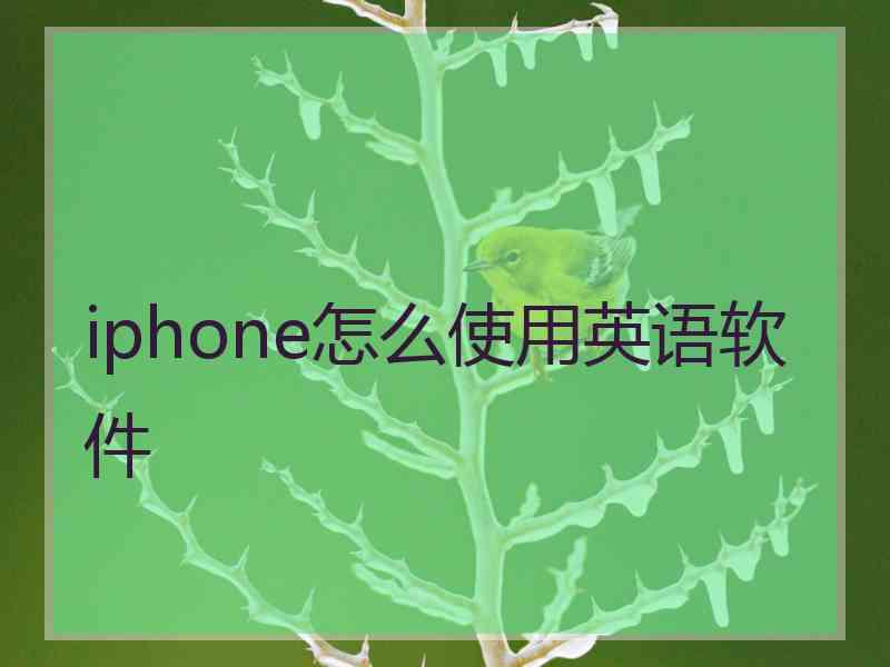 iphone怎么使用英语软件