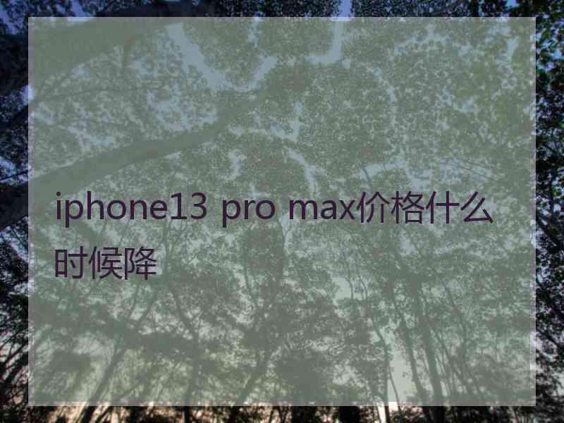 iphone13 pro max价格什么时候降