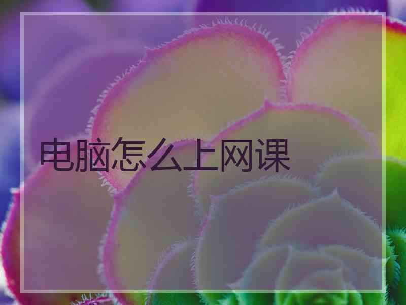 电脑怎么上网课