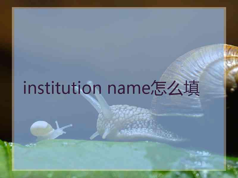 institution name怎么填