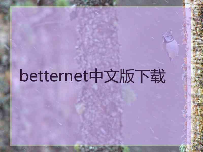 betternet中文版下载