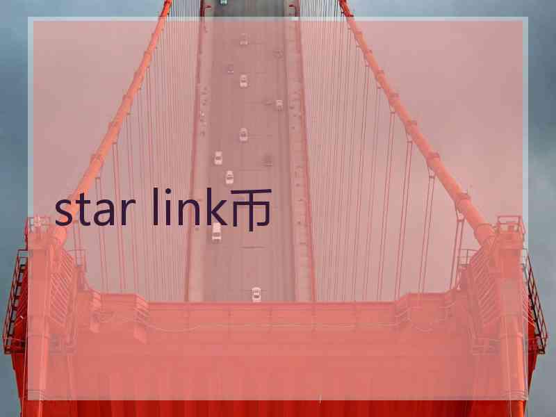 star link币
