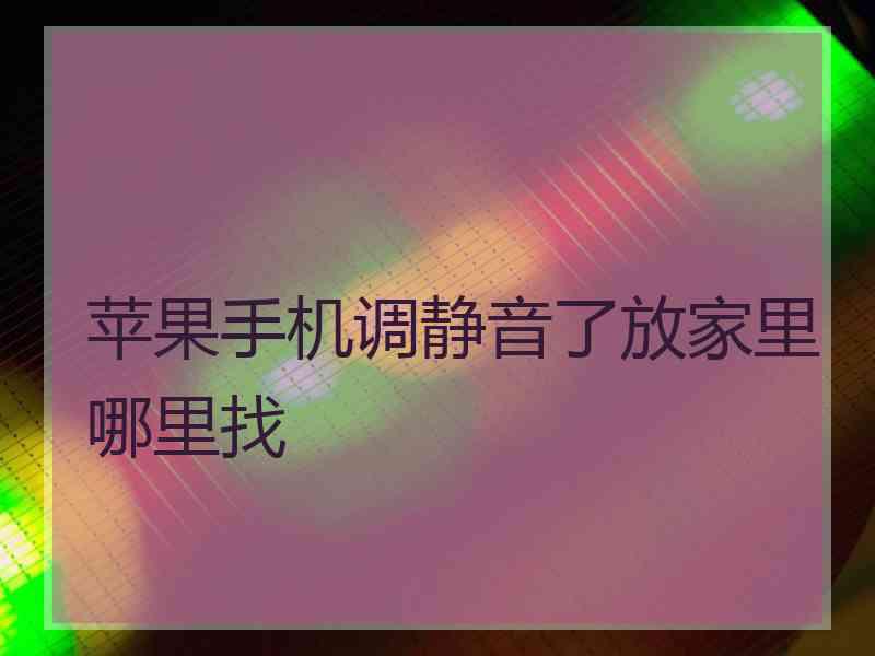 苹果手机调静音了放家里哪里找