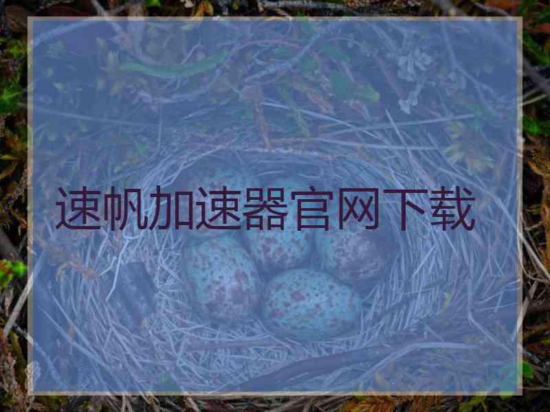速帆加速器官网下载
