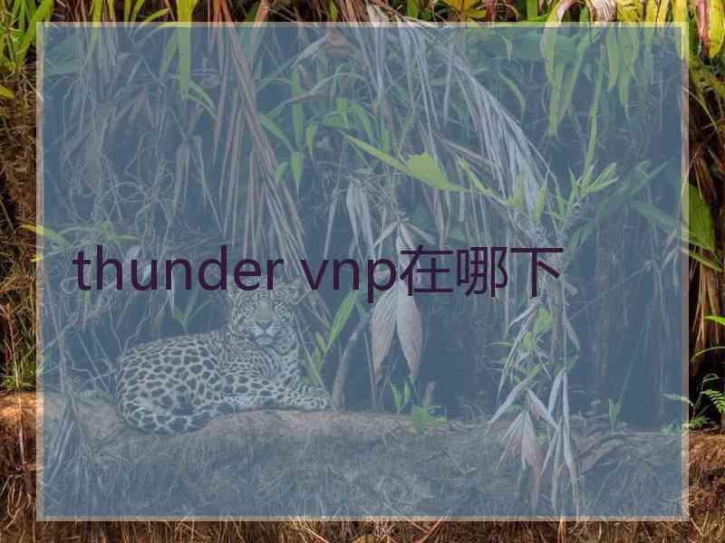 thunder vnp在哪下