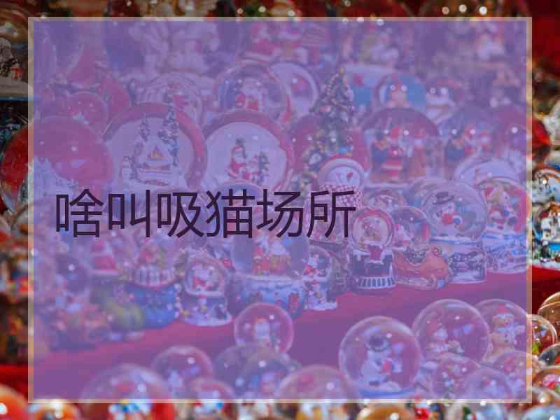 啥叫吸猫场所