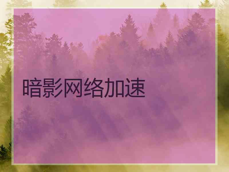 暗影网络加速