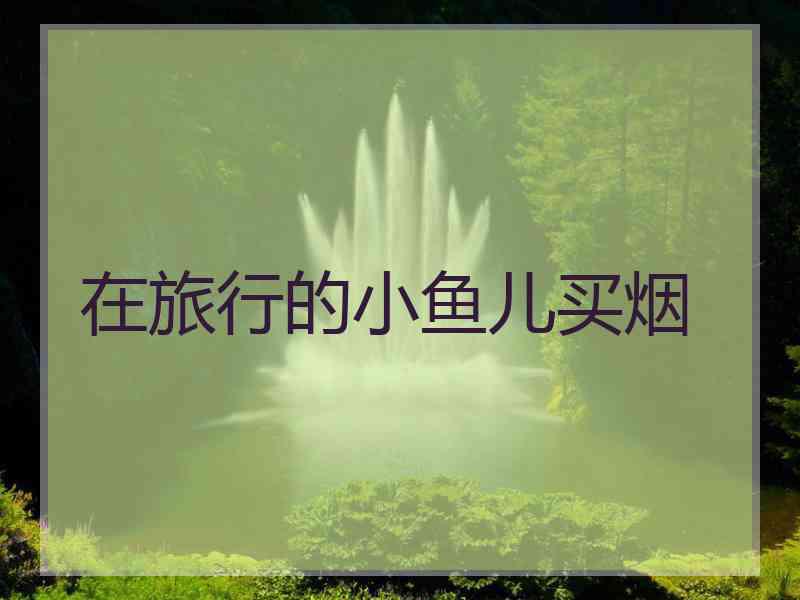 在旅行的小鱼儿买烟