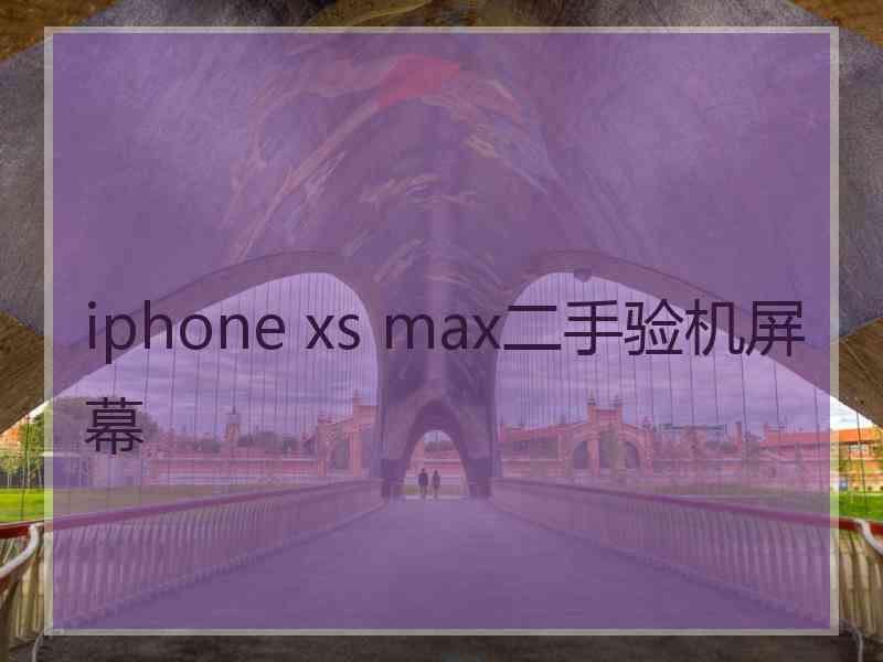 iphone xs max二手验机屏幕