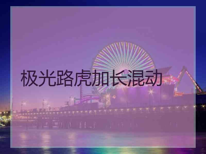 极光路虎加长混动