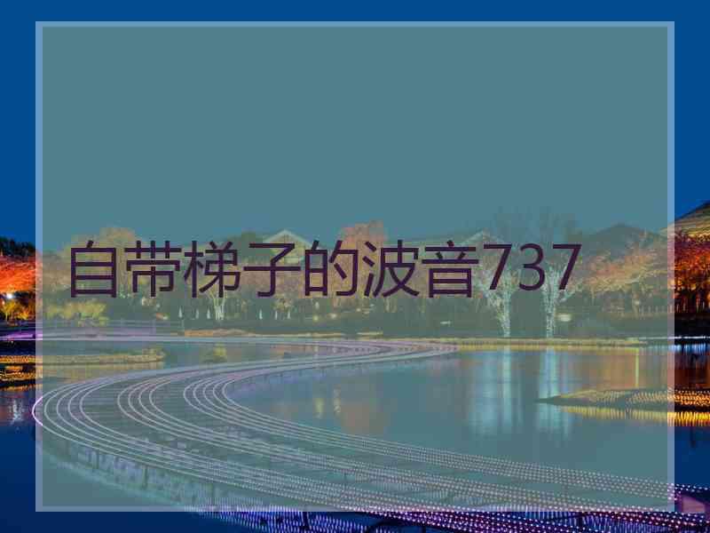 自带梯子的波音737