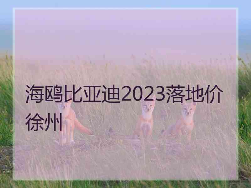 海鸥比亚迪2023落地价徐州