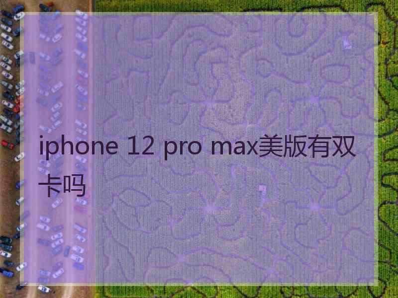 iphone 12 pro max美版有双卡吗