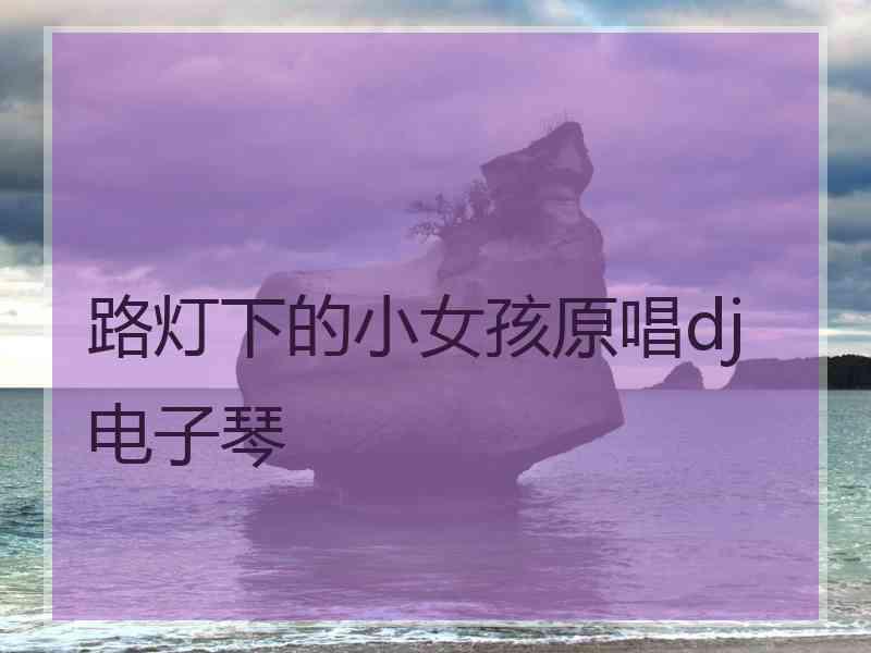 路灯下的小女孩原唱dj电子琴