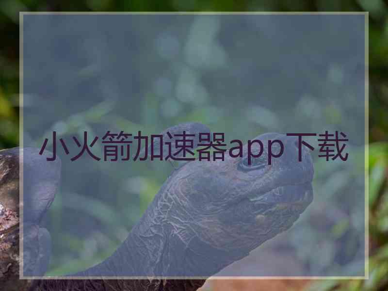 小火箭加速器app下载