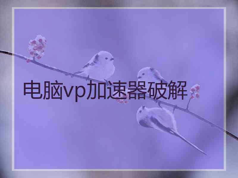 电脑vp加速器破解