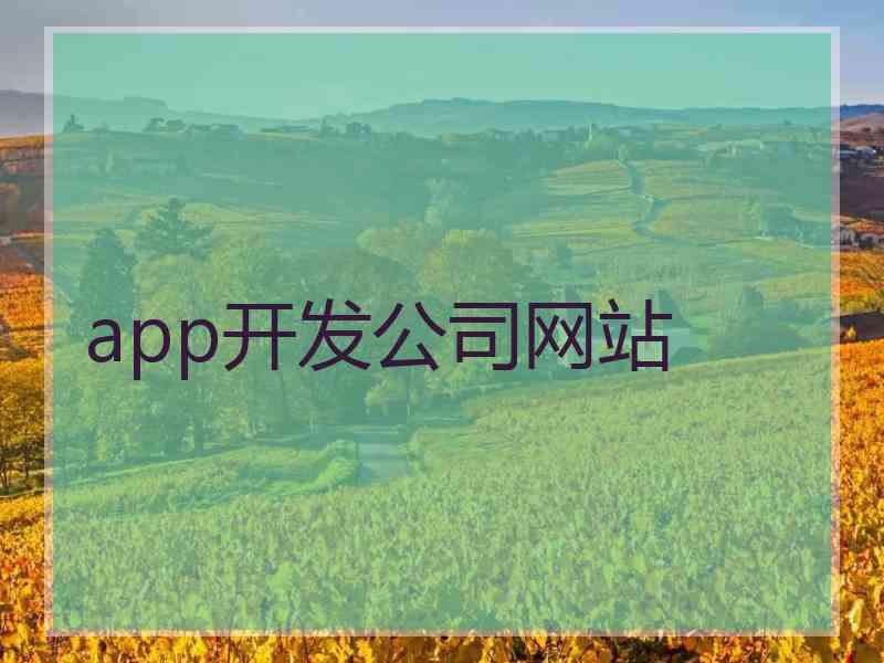 app开发公司网站
