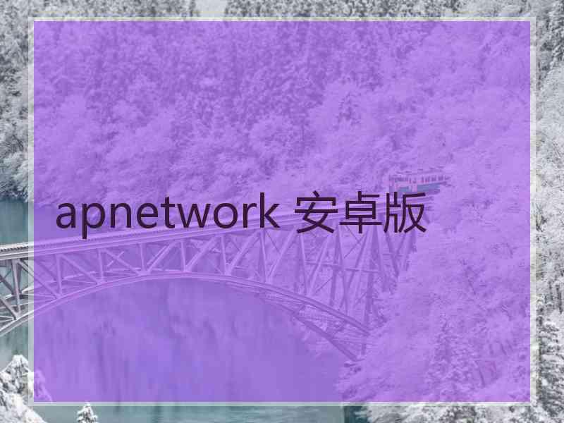 apnetwork 安卓版