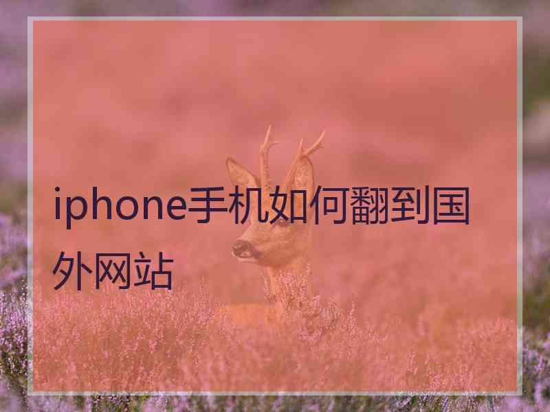 iphone手机如何翻到国外网站